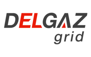 Delgaz Grid