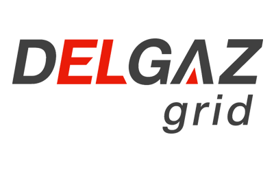 Delgaz Grid